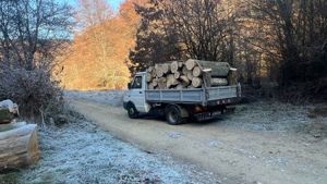 Lemne de foc pentru sobă