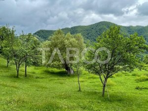 Teren intravilan de vanzare in Martinia de sus - imagine 6