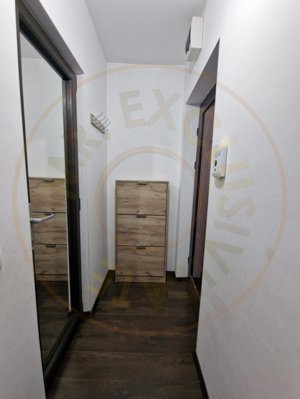 Apartament 2 camere Trivale - imagine 4