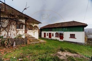 Gospodarie traditionala in loc. Vulturesti-15 km de Mioveni. Comision 0%