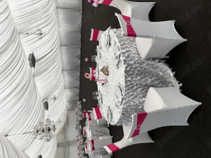 Fete de masă,huse scaune,arcade baloane,panouri foto