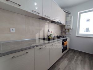 Apartament cu 1 camera de vanzare, Alba-Micesti - imagine 3