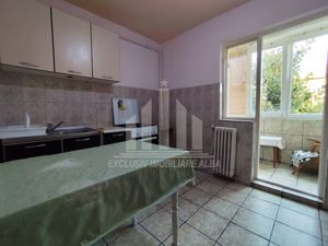 Apartament cu 3 camere de vanzare, Cetate-Mercur - imagine 3