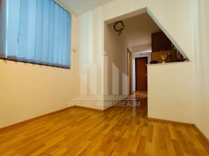 Apartament cu 3 camere de vanzare, Cetate - imagine 5