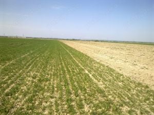 Se ofera spre vanzare teren agricol 4,72 ha Cateasca