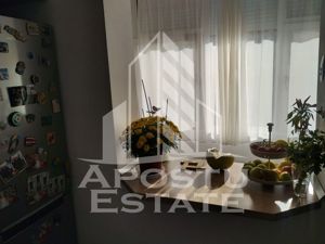 Apartament 3 camere, etaj intermediar, centrala proprie, zona Aradului - imagine 4