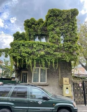 Casa in centrul orasului,curte generoasa 