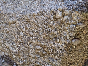 Srot de floarea soarelui proteină 35,7% - imagine 2