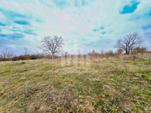 Vand teren intravilan zona Podei Alba