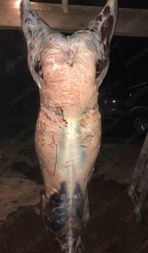 Carne vițel, vitei și mânzat - imagine 4