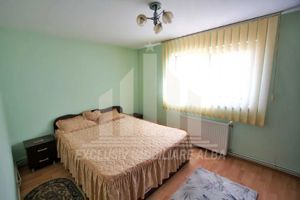 Apartament cu 2 camere, Cetate-Mercur - imagine 2