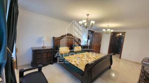 Casa individuala de lux,6 camere,piscina si garaj in Sanandrei - imagine 9