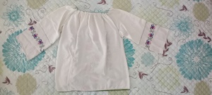 Iie brodata manual - imagine 2