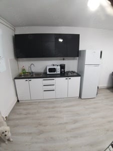 Apartament de schi in Straja Lupeni - imagine 5