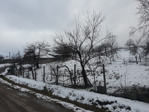 vând casa la tara , 1280 ari de teren in Tigănești de Cris , Bihor - imagine 10