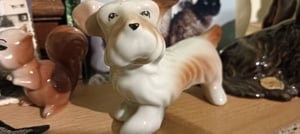 bibelouri, porțelan, antichității 