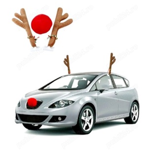 Coarne si Nas de Ren  Accesorii Auto - imagine 3