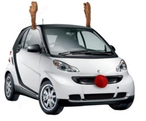 Coarne si Nas de Ren  Accesorii Auto - imagine 5