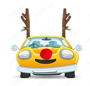 Coarne si Nas de Ren  Accesorii Auto - imagine 4