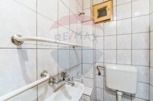 Apartament cu 3 camere decomandat, situat pe malul Mureșului, Arad - imagine 10