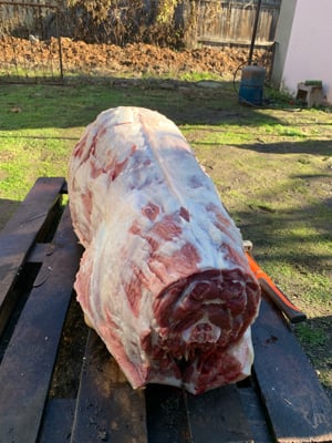 Porci de carne 