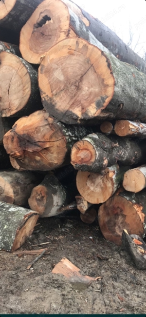 aducem la comanda lemne de foc  - imagine 2