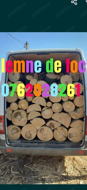 lemne de foc esență tare 