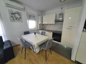 Apartament spatios cu 3 camere | Pet Friendly | Lipovei