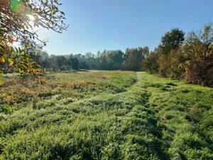 Vând casă la Tinca - imagine 8