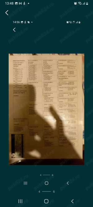 Porumbei mascul  - imagine 3