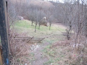 De vanzare teren in Campina, Prahova Calea Doftanei - imagine 3