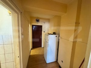 Apartament 1 cameră, 24 mp, zona-Nicolina - imagine 3