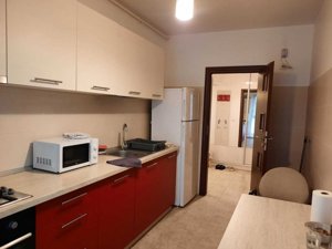 Apartament 2 camere, decomandat, 60 mp, Exigent Plaza Residence - imagine 4