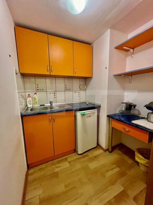 Apartament cu 3 camere, 60 mp, Horea - imagine 2