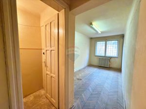 Apartament cu 3 camere decomandat, situat pe malul Mureșului, Arad - imagine 9