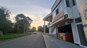 Spatii Comerciale trafic intens Teatrul de vara Neptun - imagine 3