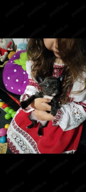 Cadoul ideal transport gratuit 