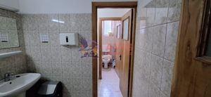 Spatiu Comercial/Hala de inchiriat zona Lapus-Popeci - imagine 15