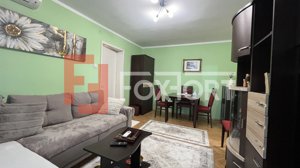 Apartament 2 camere de vanzare, zona Take Ionescu - imagine 11