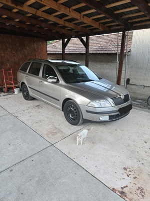 Vand schimb Skoda octavia2 1,9 tdi, dsg - imagine 4