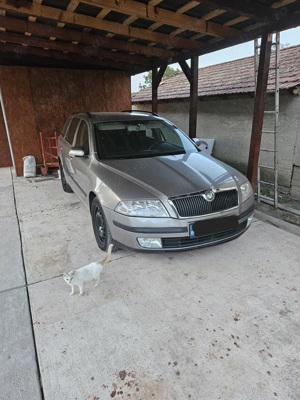 Vand schimb Skoda octavia2 1,9 tdi, dsg - imagine 5