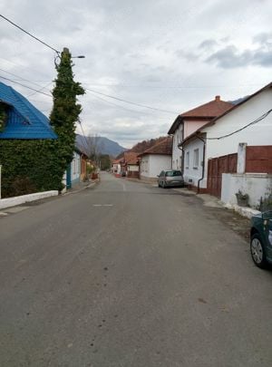 Teren extravilan Băile Herculane 5000 m2 - imagine 8