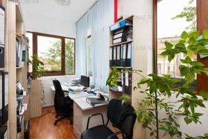 Spatiu Birouri 130 mp in vila | Parcul Carol, Sector 4 - imagine 11