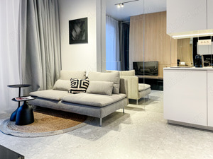 Loft Studio Modern   central, Platinia USAMV  - imagine 3