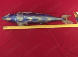 Pește din sticla din perioada comunistă 