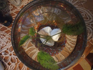 Vand bol acvariu  - imagine 2