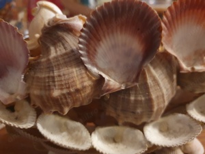 Vand decorațiune acvariu  - imagine 2