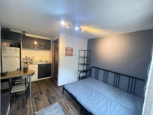 Apartament Pet Friendly Balcescu Centru Complex Elisabetin Maria Odobescu Girocului Politehnica UVT  - imagine 3