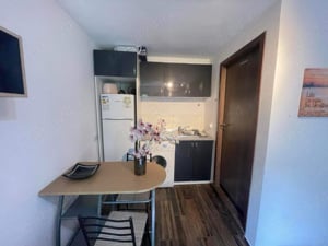 Apartament Pet Friendly Balcescu Centru Complex Elisabetin Maria Odobescu Girocului Politehnica UVT  - imagine 4