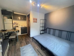 Apartament Pet Friendly Balcescu Centru Complex Elisabetin Maria Odobescu Girocului Politehnica UVT 